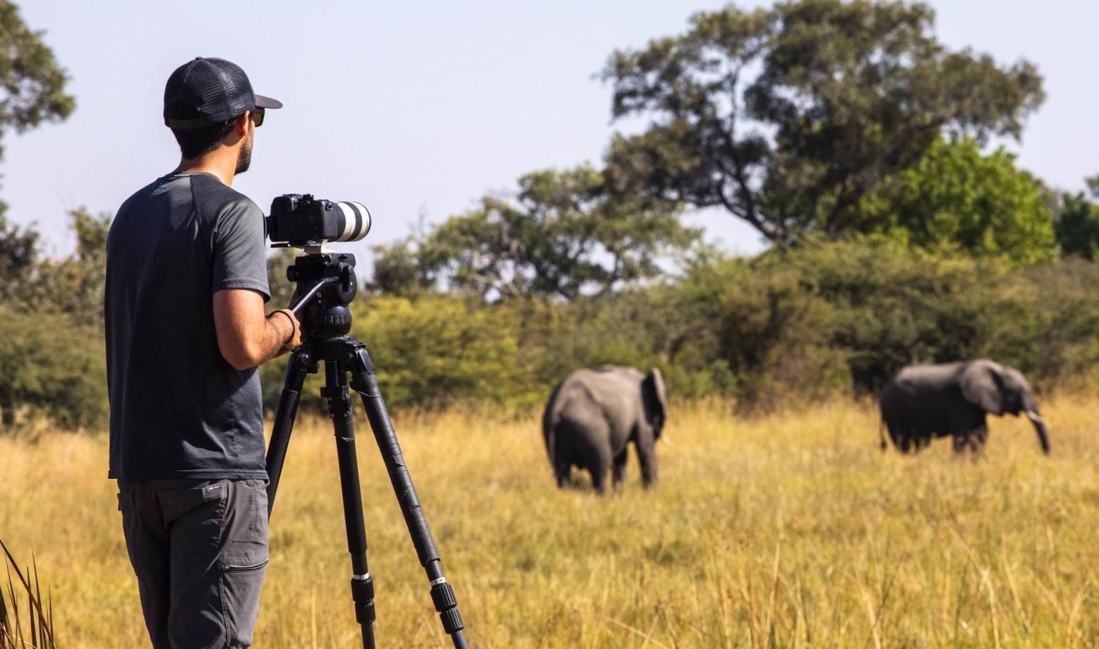 wildlife photography safari 1